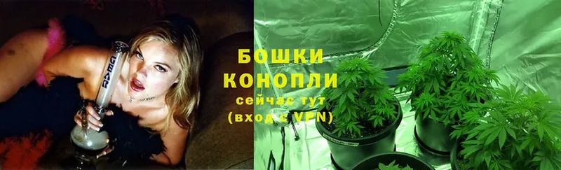 Каннабис SATIVA & INDICA  MEGA   Полярный  как найти  